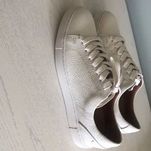 Frye Ivy Low Lace Sneaker